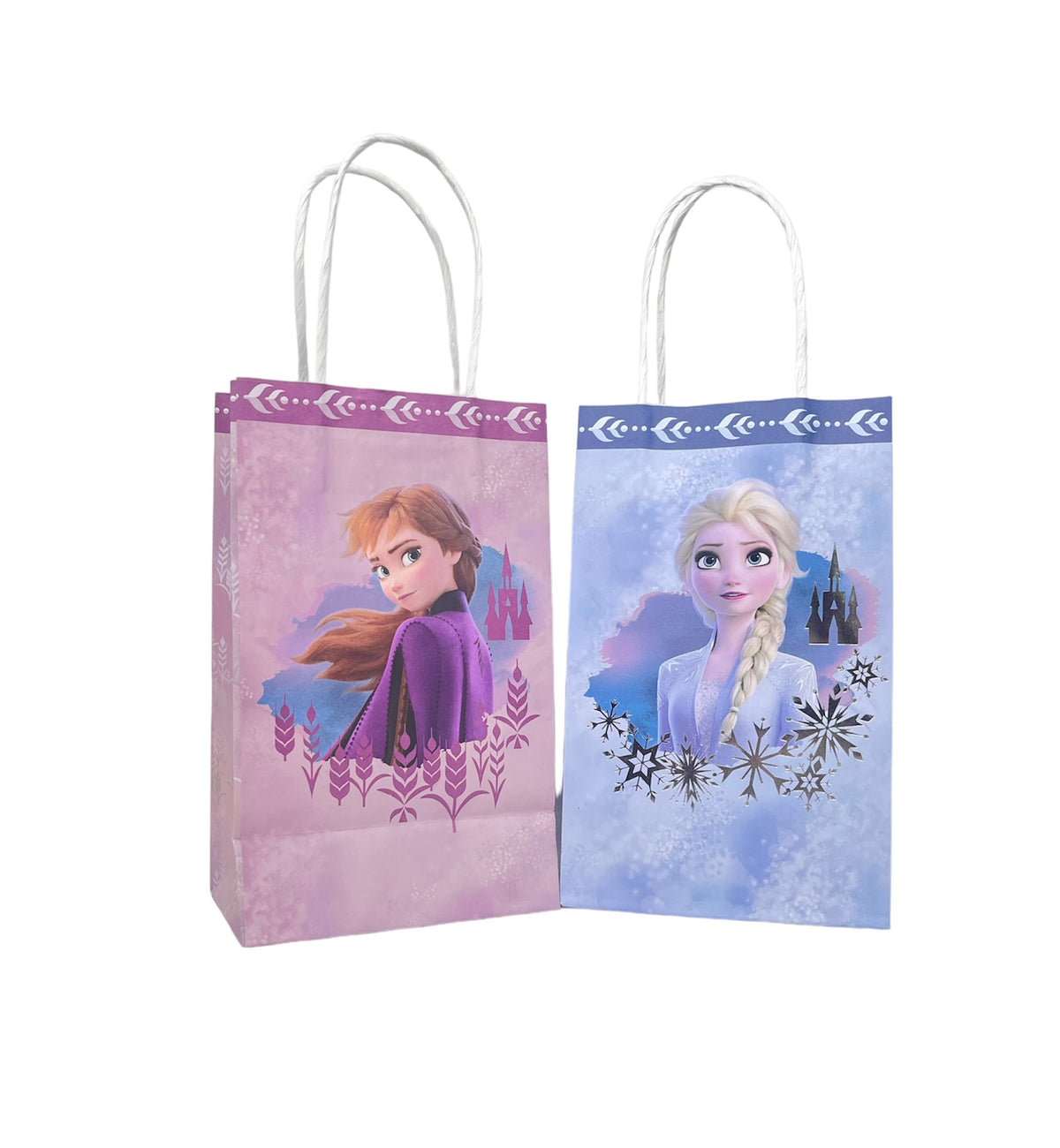 Frozen Reusable Bag 